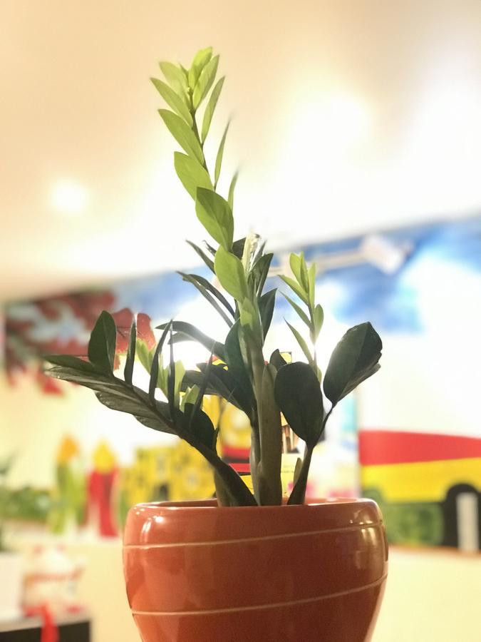 The Lily Hostel & Coffee Ho Chi Minh City Bagian luar foto